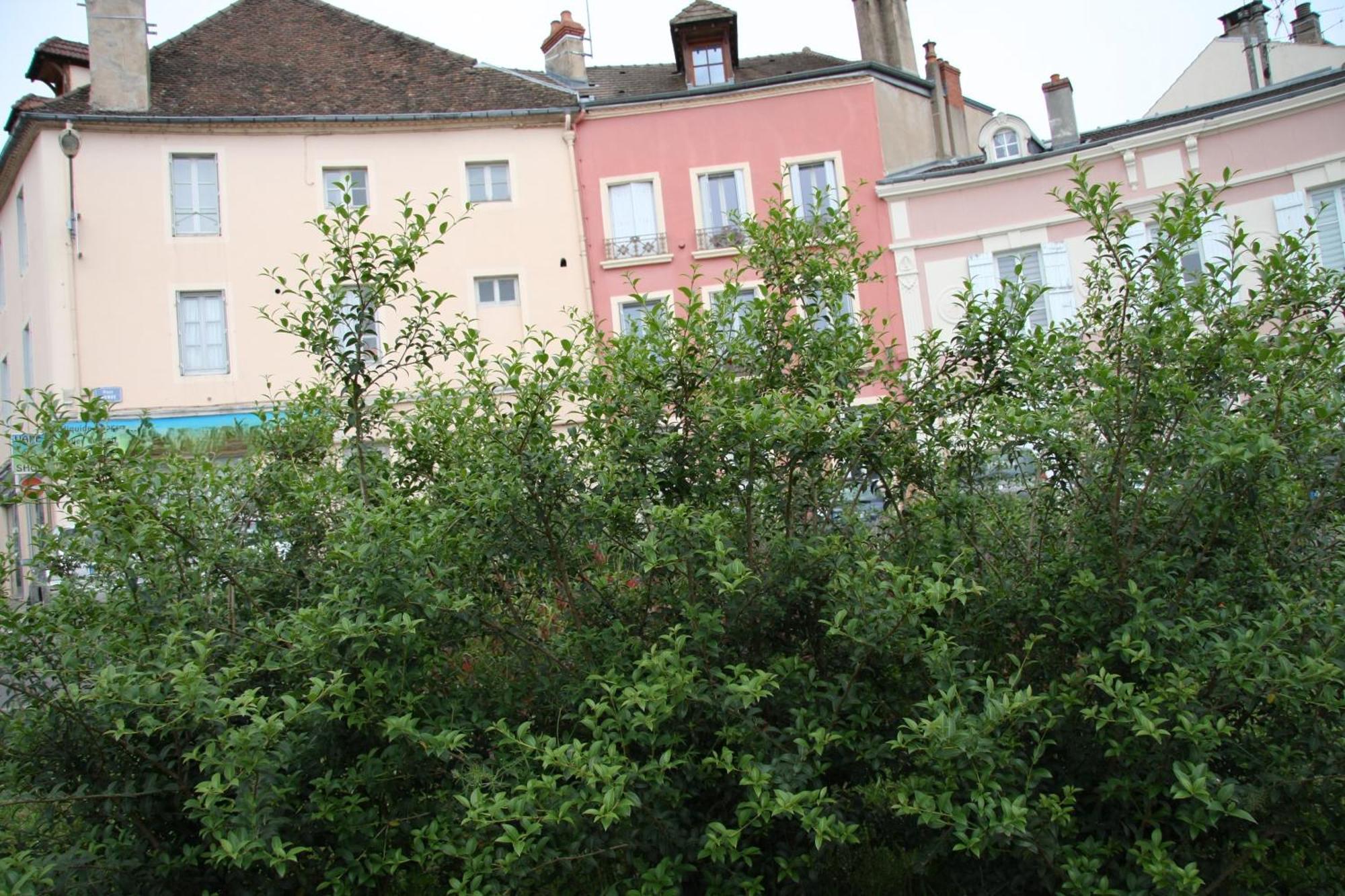 Appartement Haut De Gamme Centre Ville Chalon sur Saone Esterno foto